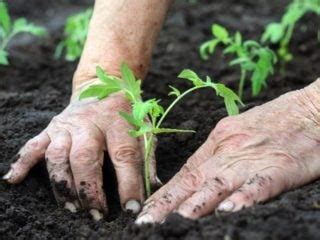 Intensive Farming Helps Avian Biodiversity, Climate Change | Organic Facts