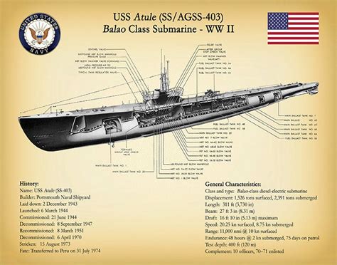 USS Atule SS-403 Submarine Poster Print, Balao Class Submarine Diagram ...