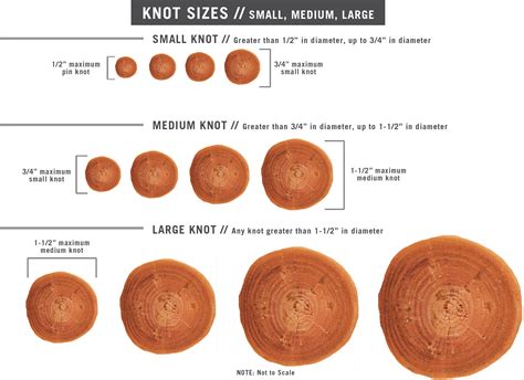 NELMA Grader Academy | Characteristics 101: Knots and Wane