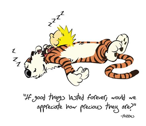 Calvin And Hobbes Quotes