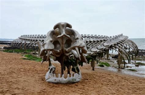 Serpent d’Océan | A Massive Metal Sea Serpent Skeleton on a Beach in France