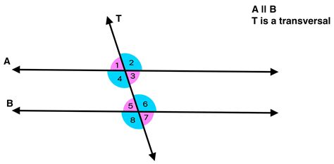 Same Side Interior Angles Explained — Mashup Math