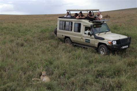 Etosha Safari Lodge & Other Safari Lodge Spots in Namibia