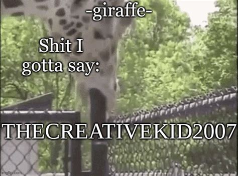 -giraffe- - Imgflip