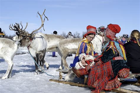 Sami Reindeer People Culture