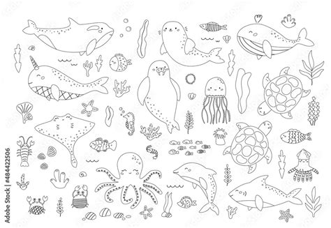 Underwater Animals Coloring Pages