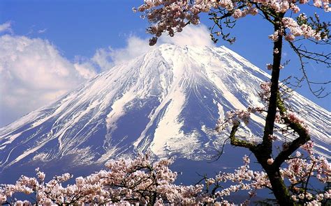 4K Nature Wallpaper Spring Japan (45+ images)