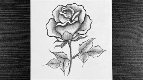 How To Draw A Rose With Pencil Shading