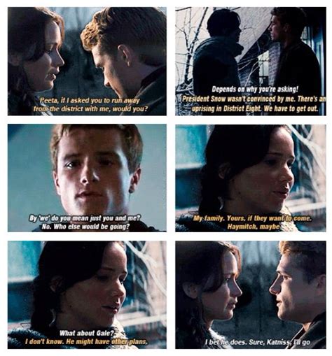 This talk between Katniss and Peeta was in the book, but I'd love to ...