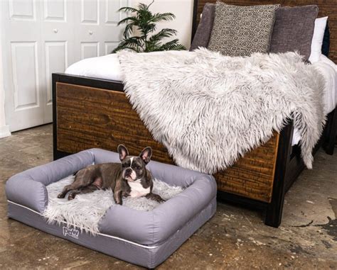 Paw.com Dog Beds Review For Your Furry Friends - Allstealdeals