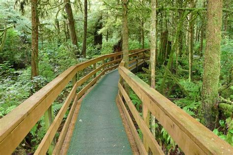 Alaska Rainforest Sanctuary | Alaska, Ketchikan alaska, Ketchikan