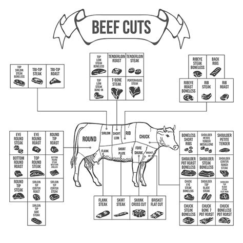 8 Primal Cuts of Beef Explained: Names, Descriptions, Location ...