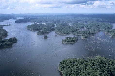 French Guiana: Natural & Geographic Landscape | LAC Geo