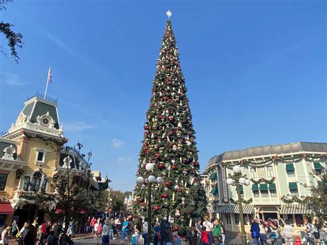 PHOTOS: Christmas Tree, Entrance Decorations Up at Disneyland - WDW ...