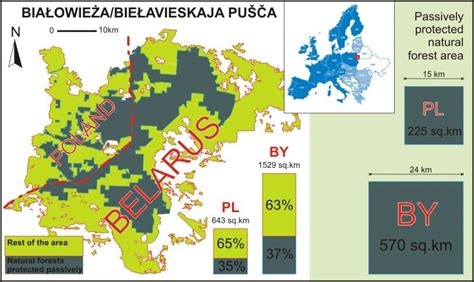 Map of the transboundary Białowieża Forest. | Download Scientific Diagram