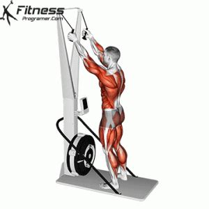 How To Use Ski Ergometer? Muscles Worked And Benefits