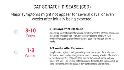 antibiotics for cat scratch disease,Save up to 18%,www.ilcascinone.com