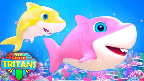 Baby Shark Cartoons For Kids | Images and Photos finder