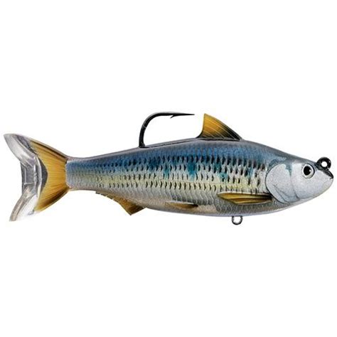 Common Shiner Swimbait – Freshwater, 5″ Length, 1′-12′ Depth, 1 1-3 oz ...