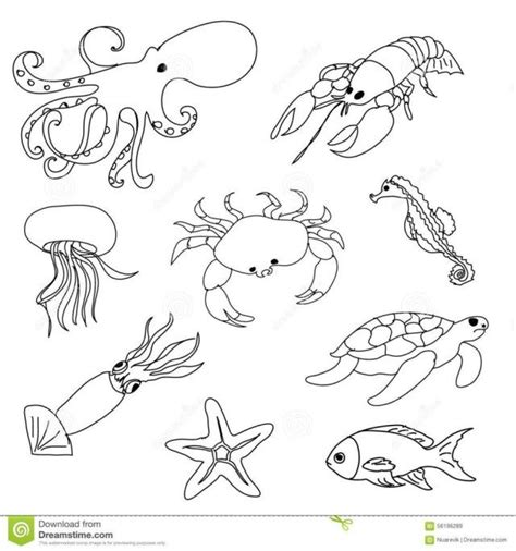 Underwater Animal Coloring Pages