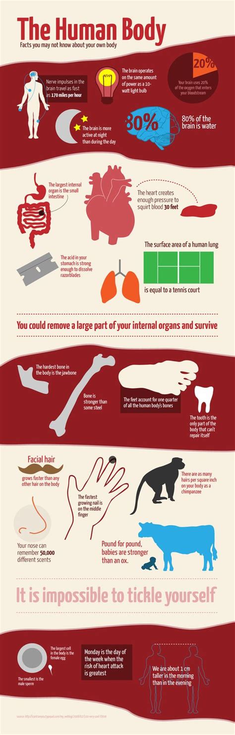 6 Science Infographics that Simplify Complex Concepts (with Templates)