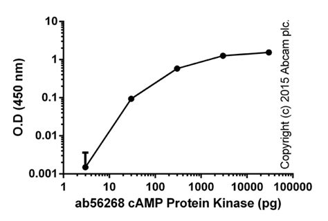 PKA Kinase Activity Assay Kit (ab139435) | Abcam