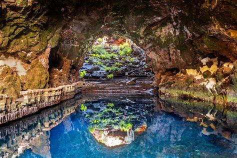 Suministro adoptar Petición arrecife jameos del agua bus Secretario ...