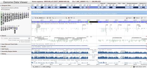 NCBI Genome Viewer · GenoCat.tools