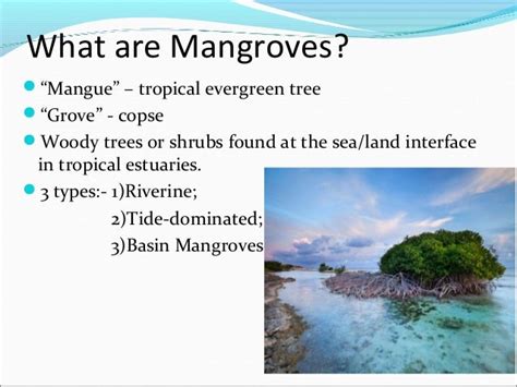 Mangroves and coral reefs