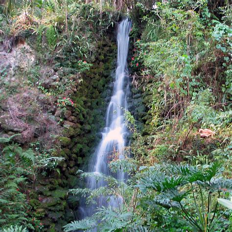 Waterfall, Rainbow Springs State Park, | Waterfall at Rainbo… | Flickr ...