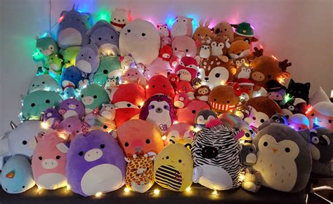 HUGE Squishmallow lot of 19 plushies! All are BNWT! - munimoro.gob.pe