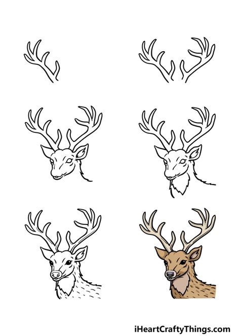 Deer Head Drawing - How To Draw A Deer Head Step By Step