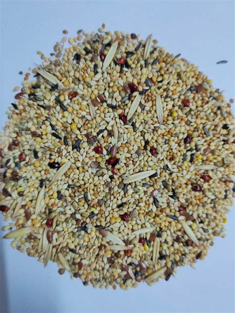 Solid Birds Budgies Premium Mix Seeds, Packaging Type: PP Bag ...