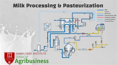 Milk Processing and Pasteurization | JLI Blog