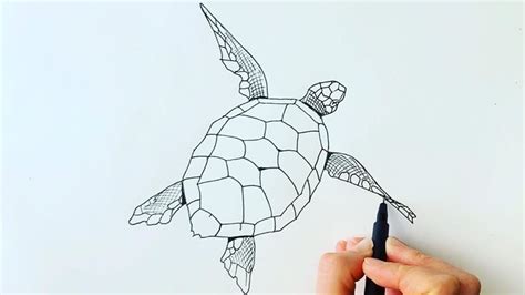 Top 41 How To Draw Snapping Turtle The 136 Correct Answer