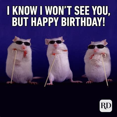 30 of the Funniest Happy Birthday Memes