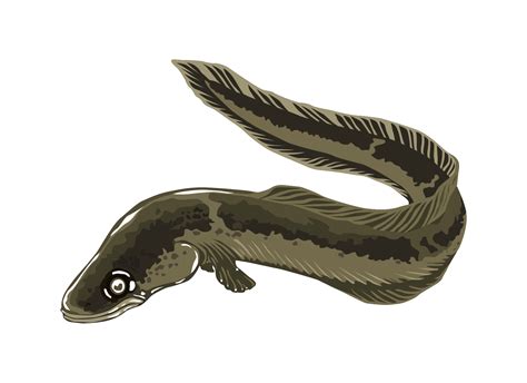 Free Eel Cliparts, Download Free Eel Cliparts png images, Free ClipArts ...