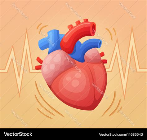 Human Heart Beating Animation