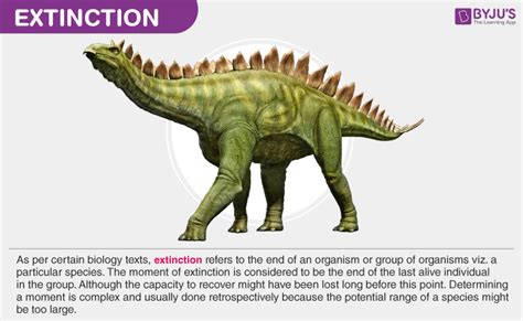 What Is Extinction? - Causes And Examples