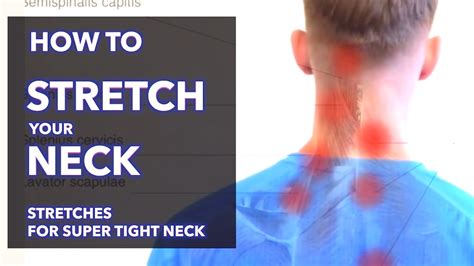 Swirlster First: Stretches For Lower Neck Pain