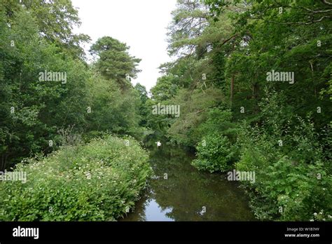 Stover Country Park, Devon, U.K Stock Photo - Alamy