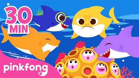 Baby Shark More and More! | Best Baby Shark Songs ONLY | Pinkfong Songs ...