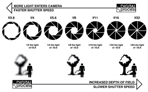 aperture-diagram | the DIGITAL process