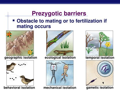 What Are The 5 Types Of Prezygotic Isolation