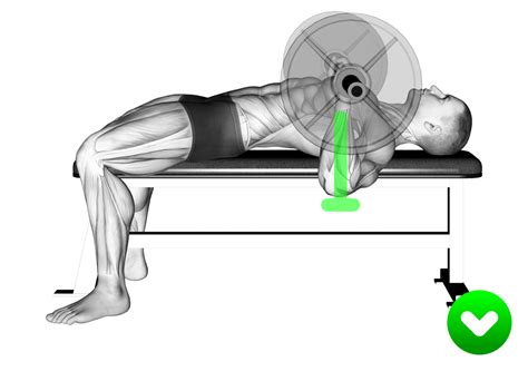 Bench Press Shoulder Pain: 6 Reasons Explained - Inspire US (2022)