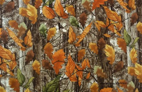 Fall Woods Birch Tree Fabric Timeless Treasures Nature C3571