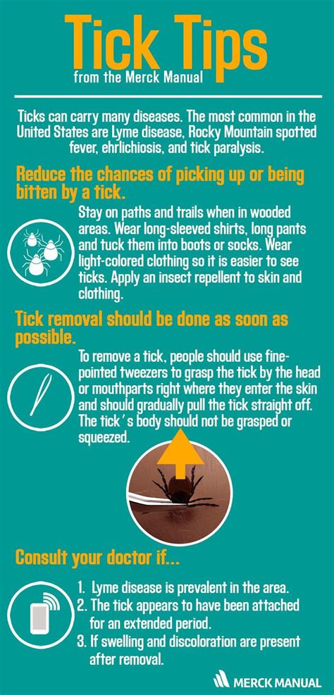 Learn more about how to prevent tick bites before you go on your next ...