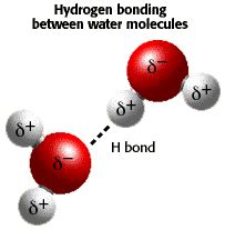 Chemistry Tutorial