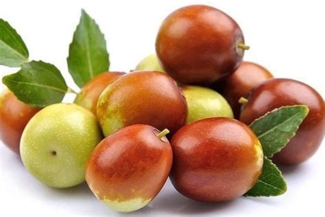 Jujube Fruit: All That You Need To Know About This Delicious And ...