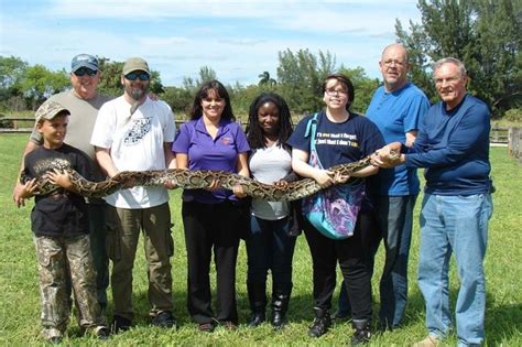 Florida Python Challenge is Underway - Southeast AgNET